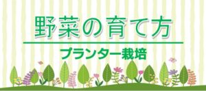 彩りを添える　ゆずぽんブログ